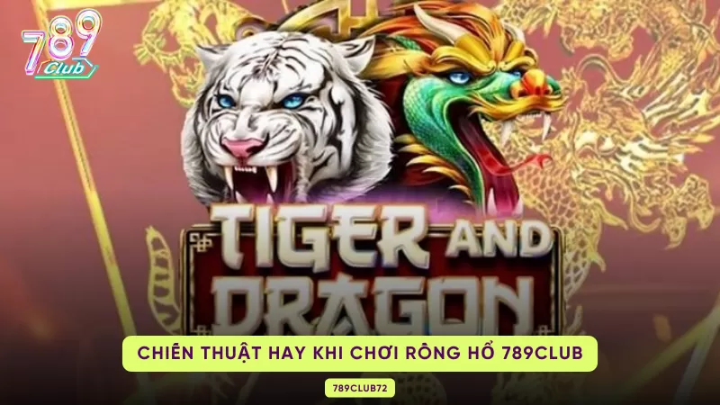 Rồng Hổ - Game Bài Giải Trí Hàng Đầu Hiện Nay Tại 789club 3 chiến thuật hay khi chơi rồng hổ