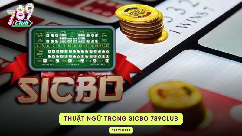 Sicbo 789Club - Thăng Hoa Cùng Cổng Game Trên Mỗi Ván Cược 3 thuật ngữ trong sicbo